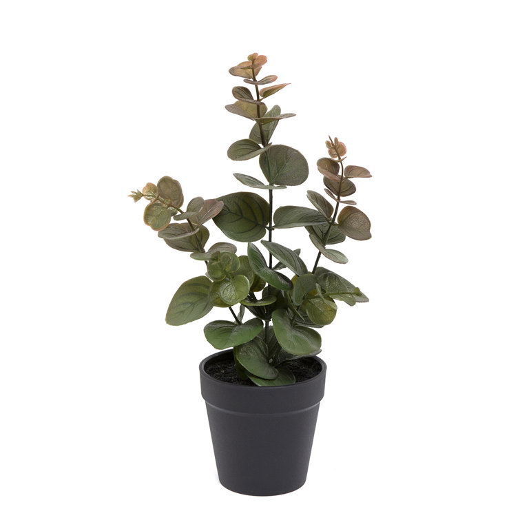 Primrue 13.5'' Faux Eucalyptus Plant in Pot Wayfair